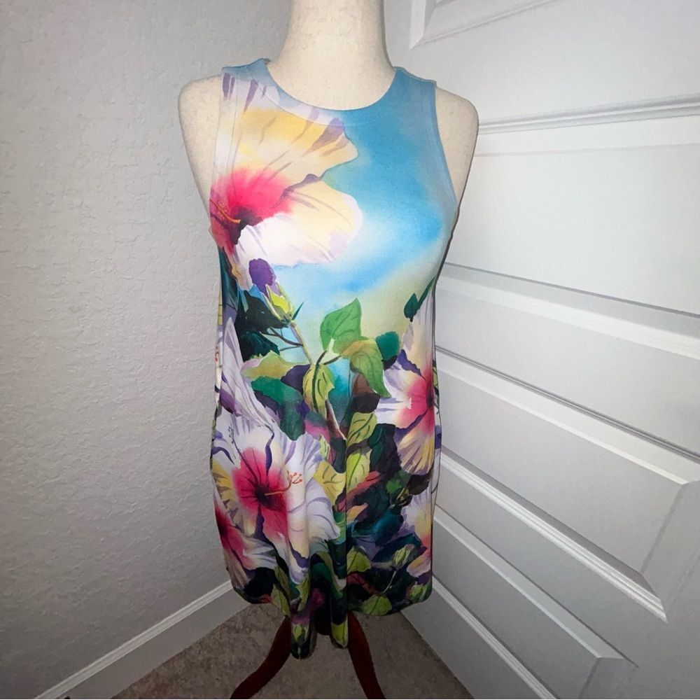 Ellen Negley Art & Sol Sleeveless A-Line Floral Print Dress